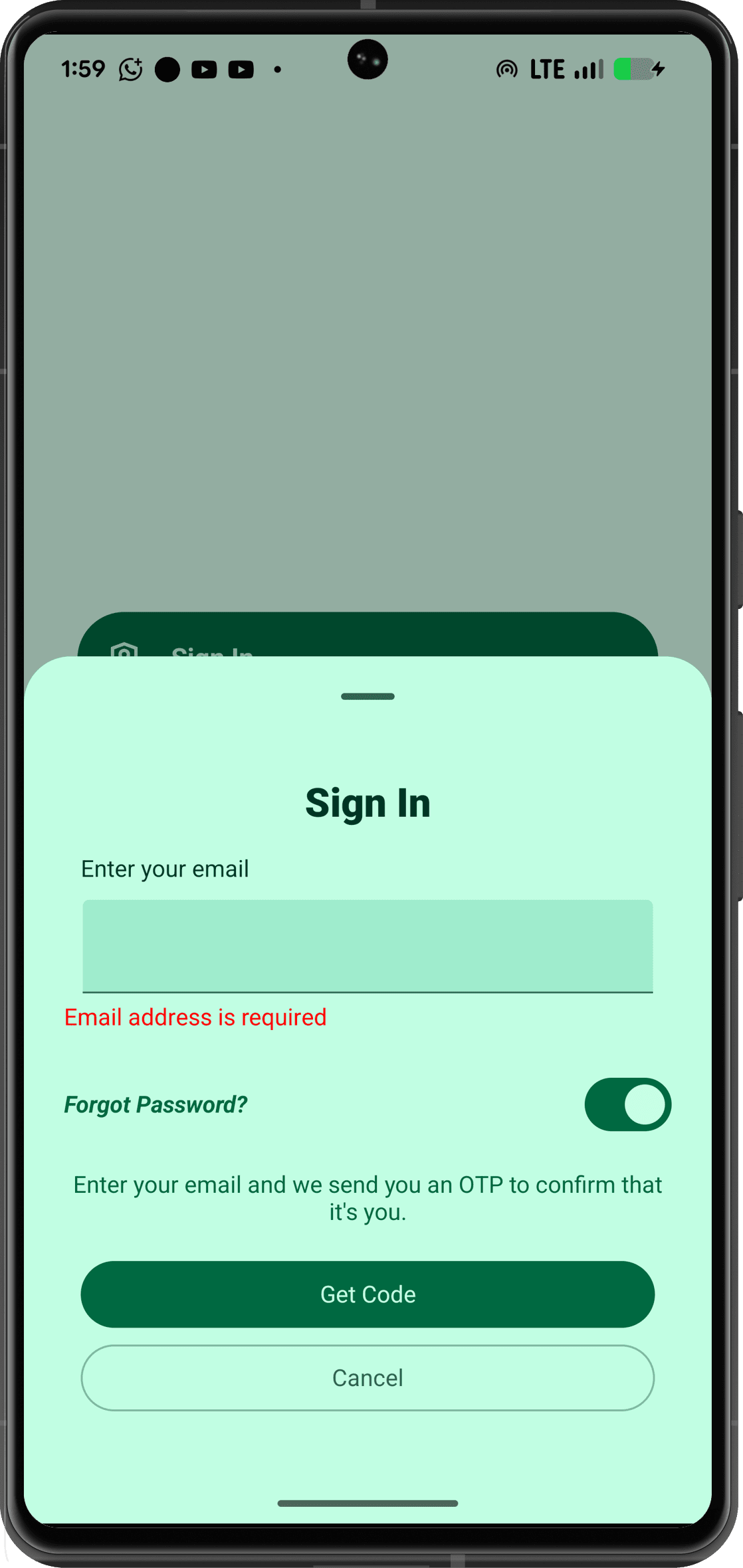 Screenshot description