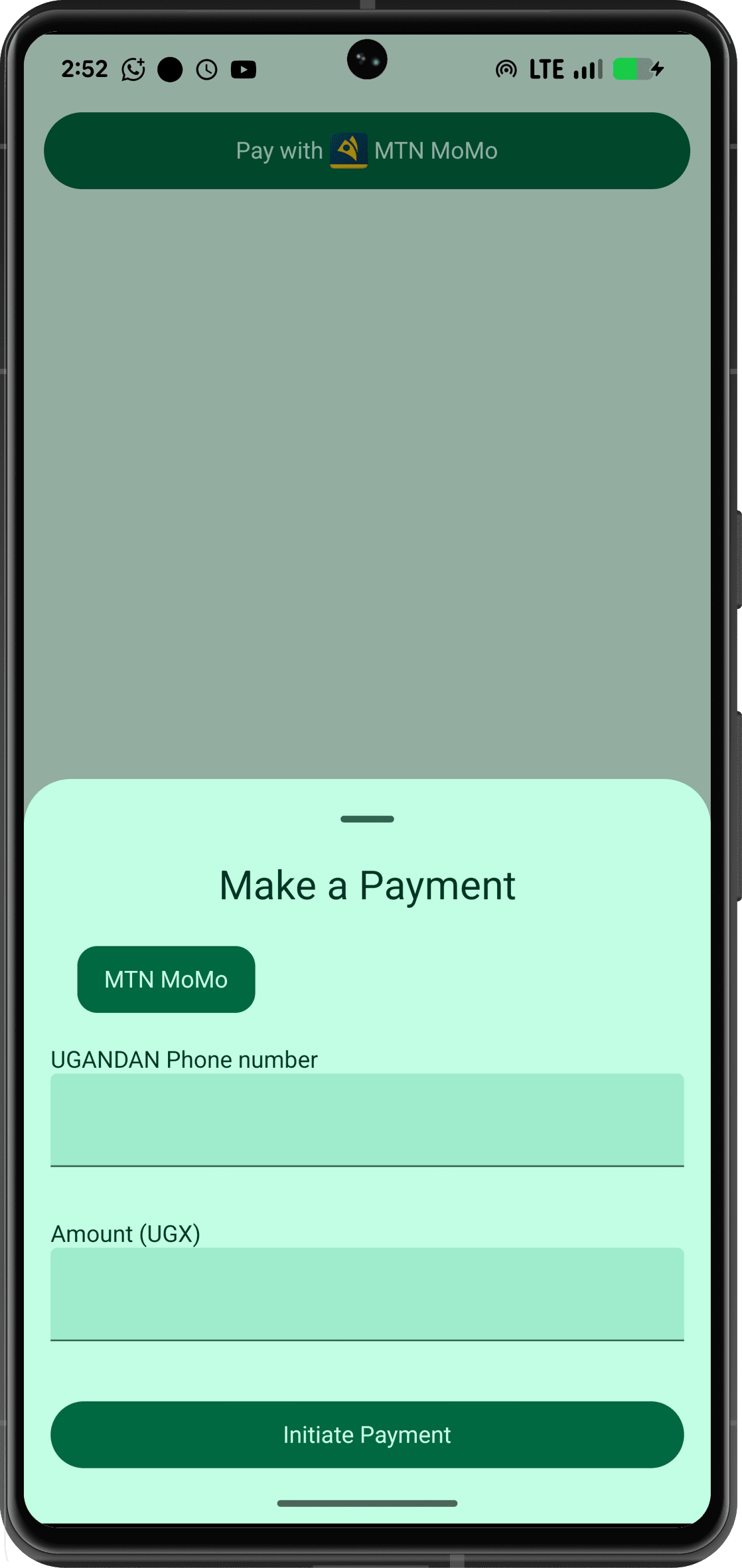 Screenshot description